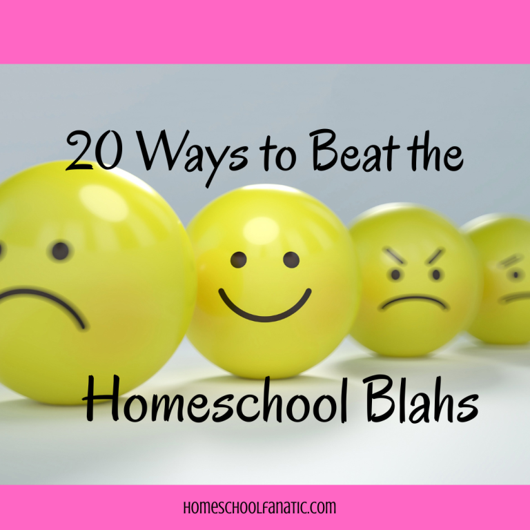 20 Ways to Beat the Homeschool Blahs (Even the February Funk)