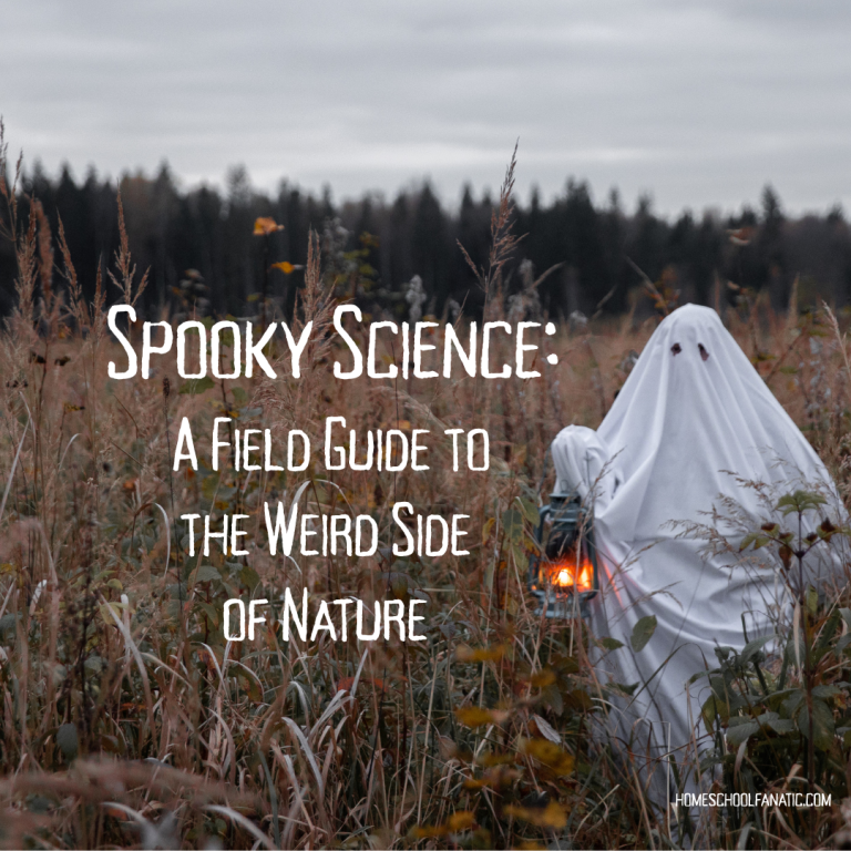 Spooky Science: The Weird Side of Nature + Scavenger Hunt